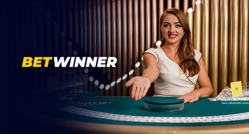 Maximizing Your Earnings with Betwinner Partners