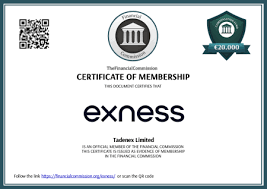 Is Exness Reliable – A Comprehensive Review Is Exness Reliable – A Comprehensive Review