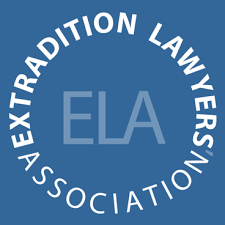 Understanding Interpol Error and Legal Protection 379653797 Understanding Interpol Error and Legal Protection 379653797